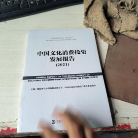 中国文化消费投资发展报告（2021）