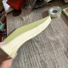 唐宋词选释，正版