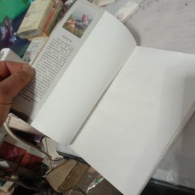 乱世红白黑；泾阳县西北塬二十年风云述略。