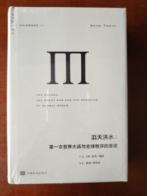 理想国译丛045：滔天洪水-第一次世界大战与全球秩序的重建