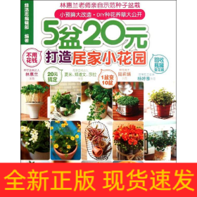 5盆20元打造居家小花園