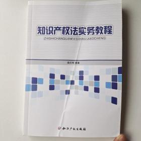 知识产权法实务教程