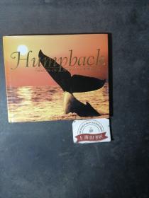 Humpback Images of hawai'i's whales（精装）
