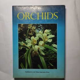 ORCHIDS—兰花