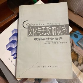 文化与无政府状态：政治与社会批评