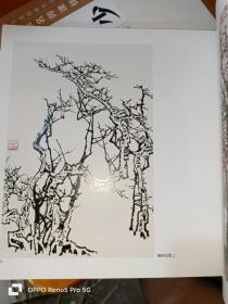 中国画名师课徒画稿：白雪石（12开平装现货）