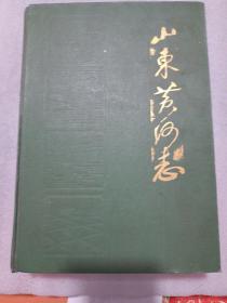 山东黄河志，（1855一1985年）精装