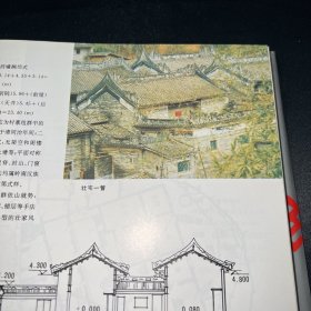 广西民族传统建筑实录