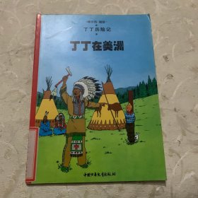 丁丁在美洲