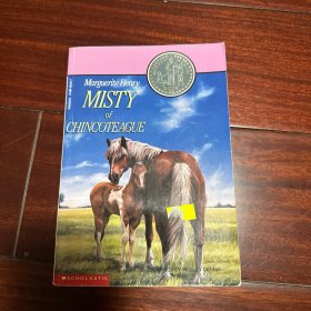 Misty of chincoteague