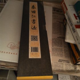 般若波罗蜜多心经（秦国仁书法） 折装