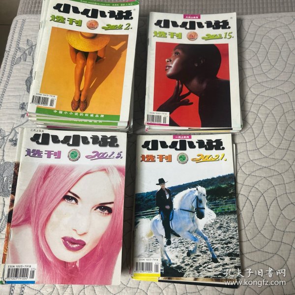 小小说选刊2001、5、6、7、8、9、11、13、15、16、17、18、19、20、21、22、2002、1、2、3、2003、15、18、19、20、21、22、23、24、2004、2、3、4、5、6、7、10、11、12、13、14、25、16、18、20、21、23、24、合售44本