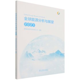 全球能源分析与展望 2021