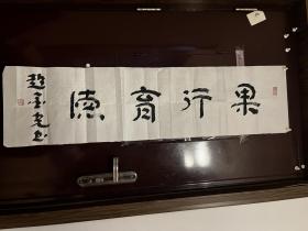 赵金光，字子溪，号西溪半医。生于四川旺苍西溪，学于峨眉中医学院，毕业于医科大学。曾任医院院长，大学副校长。主任医师，硕士研究生导师。文化学者，中国国家一级著作家，中国楹联学会原副会长，中国作家协会会员，重庆大学人文学院客座教授，吉林省书法家协会艺术顾问。著有医学、文学类著作二十二集。其中，散文曾获冰心散文奖，散文集《春秋赋》35X137