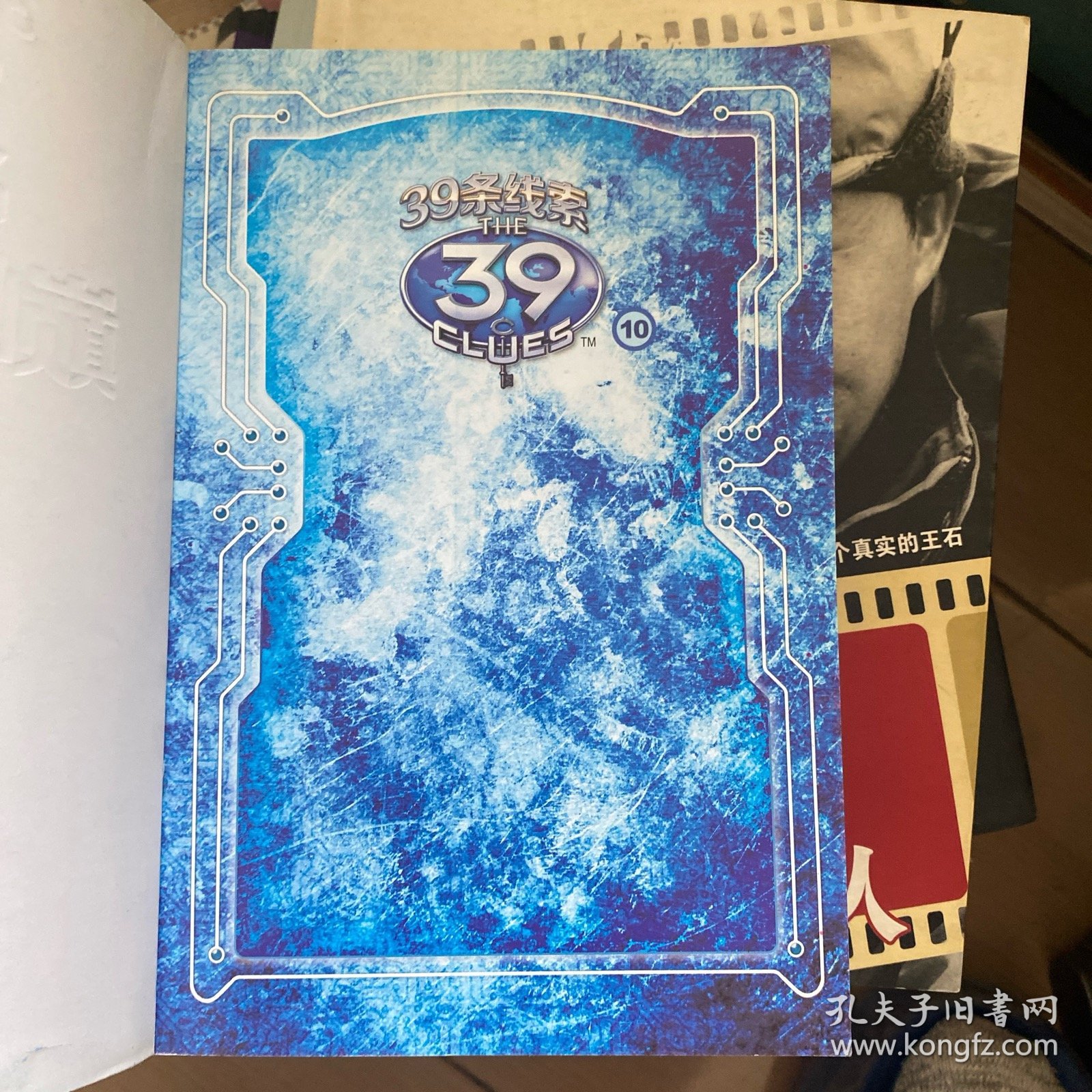 39条线索：10 决战巅峰（新版）