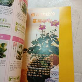 图解组合盆栽制作与观赏