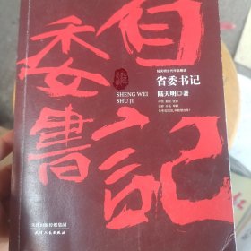 陆天明当代作品精选：省委书记