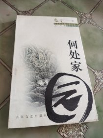 何处家园：九头鸟长篇小说文库