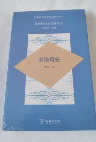 非洲阿拉伯国家通史·摩洛哥史