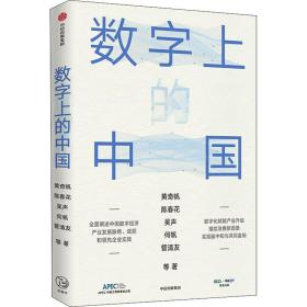 全新正版 数字上的中国 黄奇帆 等 9787521736625 中信出版社