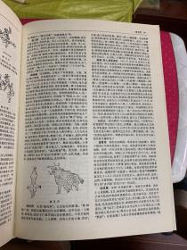 中国舞蹈词典（16开精装）A22
