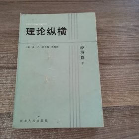 理论纵横 经济篇 下