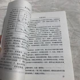 中国文化史（英文版）