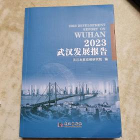 2023武汉发展报告