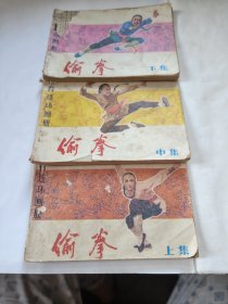 偷拳，上，中，下三册