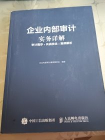 企业内部审计实务详解审计程序实战技法案例解析