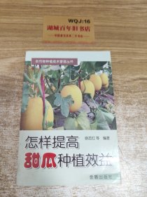 怎样提高甜瓜种植效益