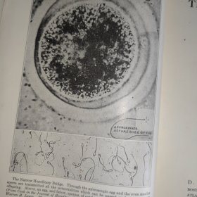 The Principles of Heredity【郑丕留，于威斯康辛大学购书。】