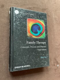 Family Therapy: Concepts, Process and Practice 家庭治疗：概念、过程和实践