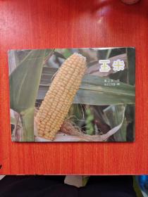 中国原创图画书：玉米  精装绘画本   全新塑封