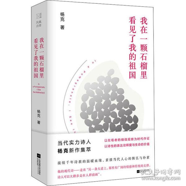 我在一颗石榴里看见了我的祖国杨克诗集