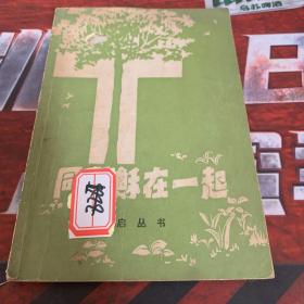 同斯大林在一起（耶稣）