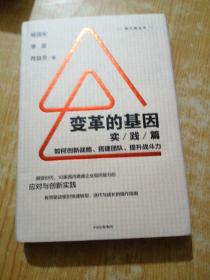 变革的基因：如何创新战略、搭建团队、提升战斗力（实践篇）