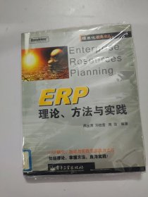 ERP理论方法与实践/信息化经典书丛