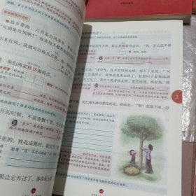 绘本课堂六年级上册语文学习书人教部编版课本同步知识梳理课外拓展学习参考资料﹤A1一4单元三册<A2~5一8单文三册~A3讲课文答案上下册