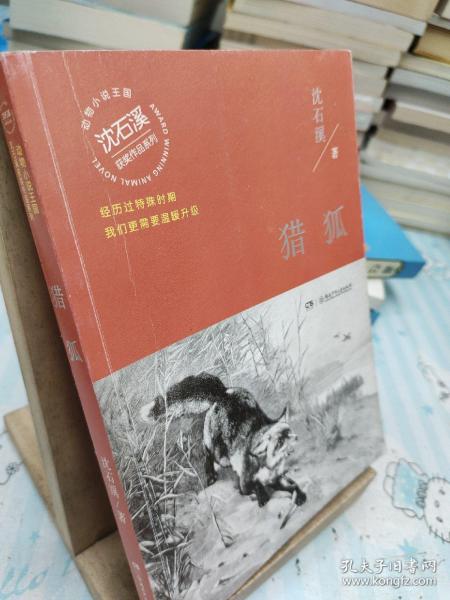 天命（温暖升级版）/动物小说大王沈石溪·经典获奖作品