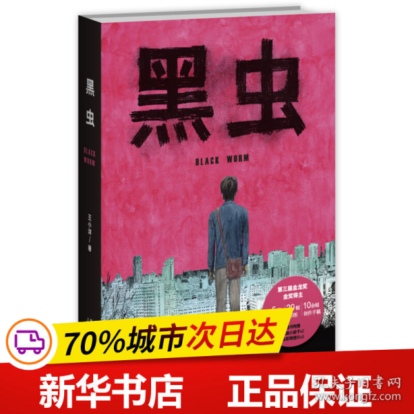 黑虫：王小洋短篇杰作集