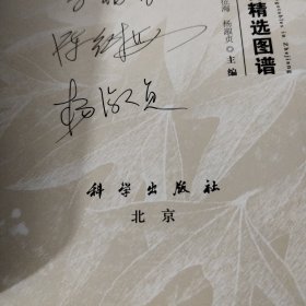 浙江野菜100种精选图谱