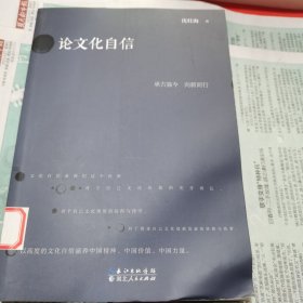 论文化自信（包邮）内页净