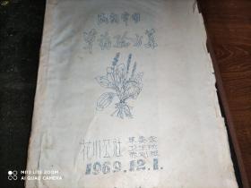 民间常用草药验方集