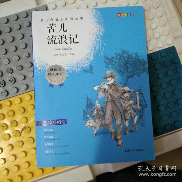 钟书图书·我最优阅·青少版彩插版·苦儿流浪记（第二辑）