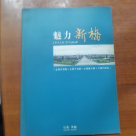 魅力新桥（放门口位左）