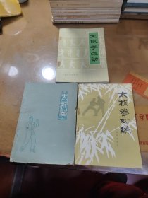 武式太极拳，太极拳对练，太极拳运动