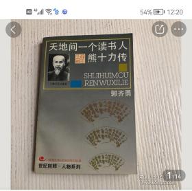 天地间一个读书人：熊十力传