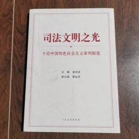 司法文明之光（十论中国特色社会主义审判制度）