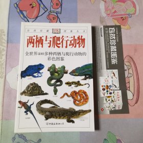 两栖与爬行动物：全世界400多种两栖与爬行动物的彩色图鉴